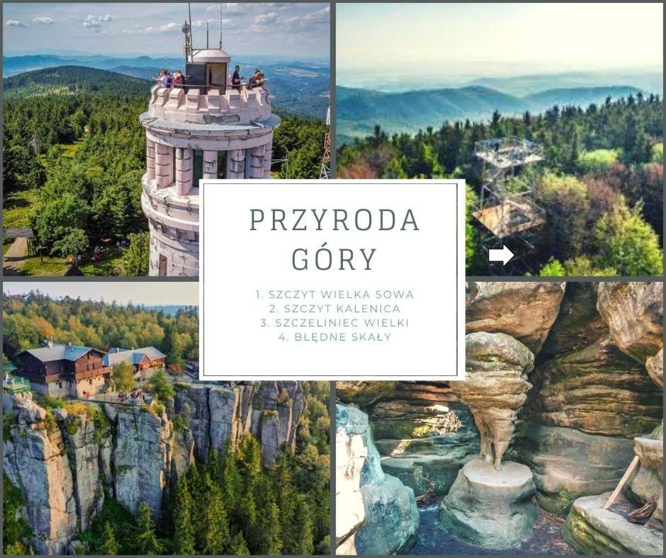 Klimatyczny Apartament Nr 8 Z Widokiem Na Gory Sowie Bielawa  Luaran gambar